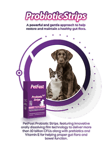 PetFast Probiotic Strips Gut Health