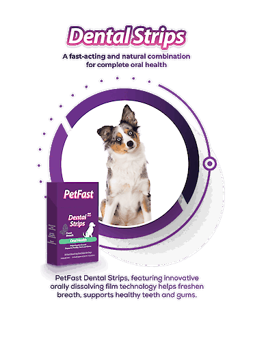 PetFast Dental Strips Oral Health