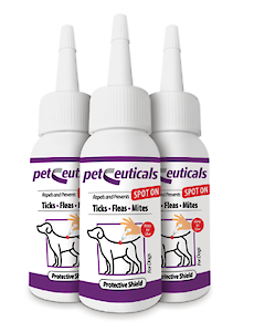 Itchy Pet Awareness Month