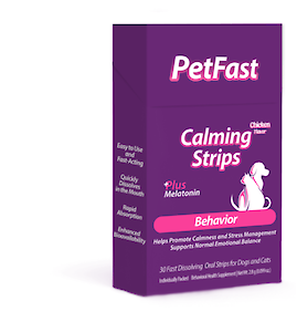 A Guide to Dog Anxiety: Causes, Signs & How to Help