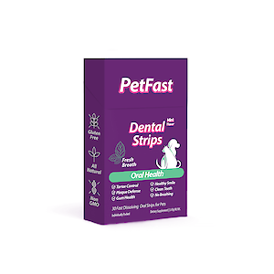 The Importance of Dog Dental Care
