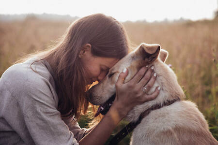 Comprehensive Guide to Canine Joint Health