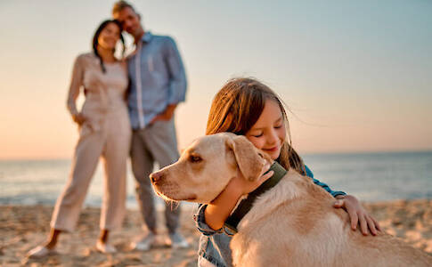 Comprehensive Guide to Canine Joint Health