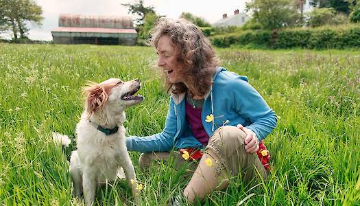 Addressing Aging Joints in Dogs and the Role of Hip & Joint Supplements