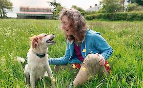 Addressing Aging Joints in Dogs and the Role of Hip & Joint Supplements