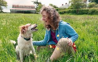 Addressing Aging Joints in Dogs and the Role of Hip & Joint Supplements